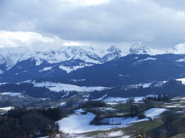 DSCF1826
