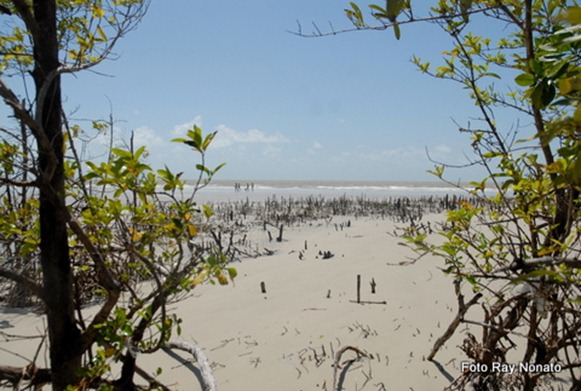 Praia do Crispim - Marapanim, foto: Ray Nonato su Flikr