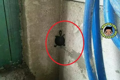 Dunia Maya Gak Hanya Kejam Tapi Juga Kocak