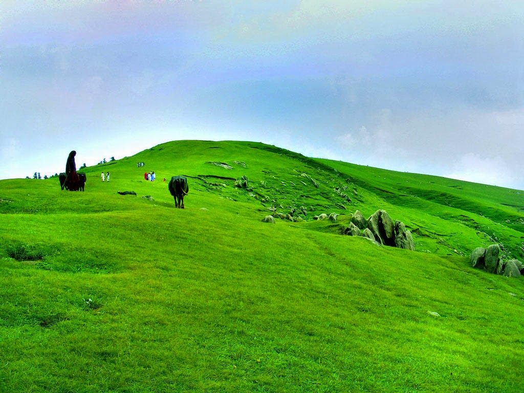 Toli Pir, Rawalakot 5 Best Places To Discover In Pakistan