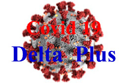  Covid-19 Delta Plus Variant: सावधान, अब राजस्थान में आया कोरोना के डेल्टा प्लस वेरियंट का पहला मामला