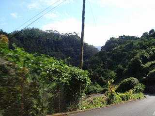 Descida do Ribeiro Frio para Machico