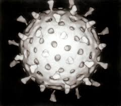 Sejarah Penemuan Virus dan Para Penelitinya Lengkap