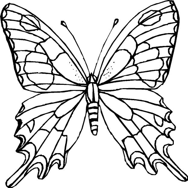 Difficult Coloring Pages For Adults  Coloring Pages Butterfly Coloring  Pages To Print 