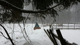Hen house and fence posts in the snow