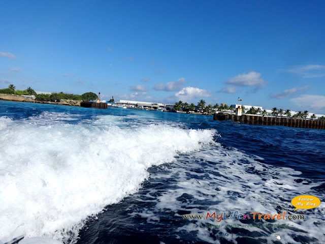 Speed Boat