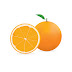 Orange picture and Adobe Ilustrator file for free
