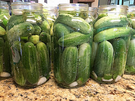 canning dill pickles