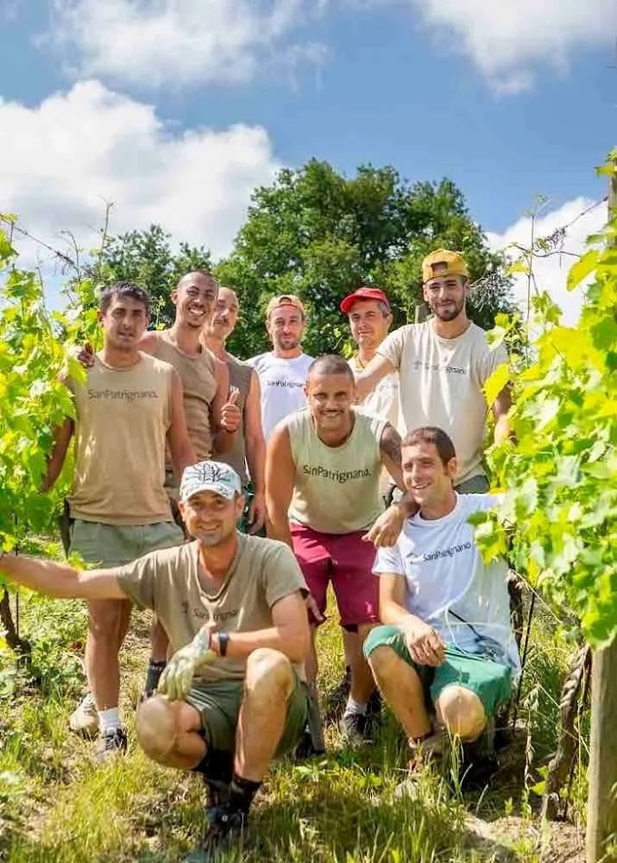 Vendemmia super per i bianchi di San Patrignano