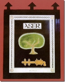 ASER_pequeno
