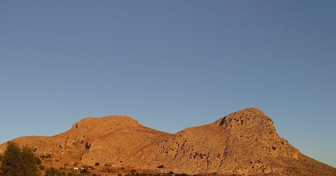 من الحجر الصحي إلى الواقع  السياسي. 