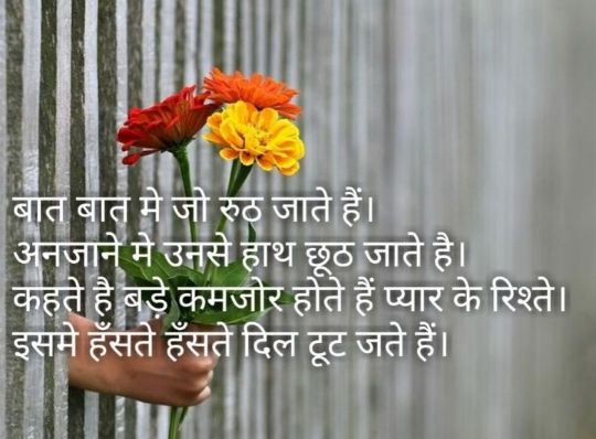 love shayari