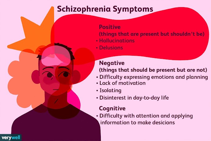 What is the Schizophrenia Disorder About?