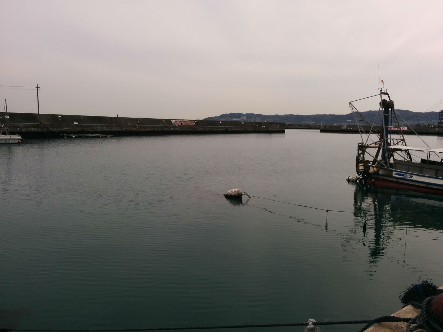 居着きのアジ というものを調査中 垂水漁港でアジング 神戸でアジング ねーやん編