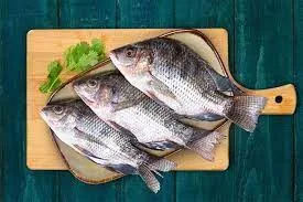 Tilapia fish benefits