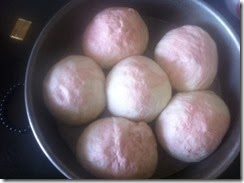 IMG_1835 IMG_1835