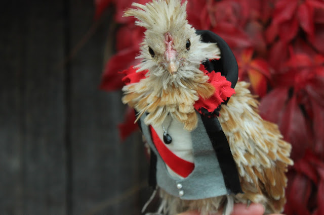 Elegant vampire chicken costume