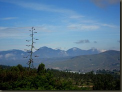 IMG_1237