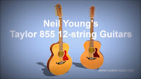 Neil Young - Taylor 855 12-string