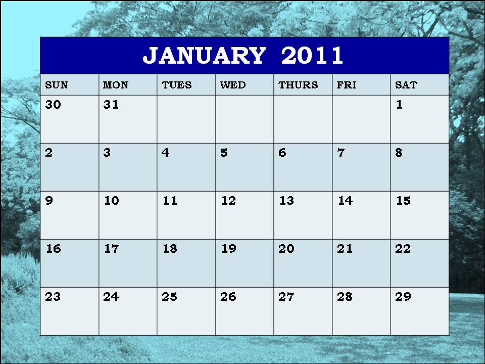 january 2011 calendar planner. January 2011 Fill In Calendar