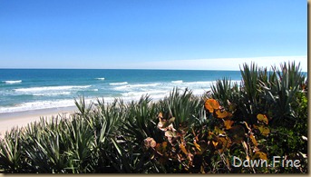 Brevard hot spot hike_051