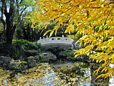 yellow leaves over white bridge photo by mbgphoto