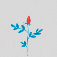 Super Quality Flower Gifs Download
