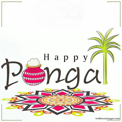 Pongal Wishes Images