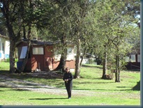 Camping 018