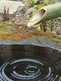 jardin japonais