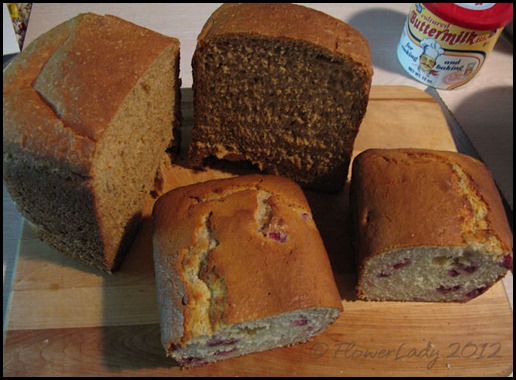 02-07-oat-strwbry-brds