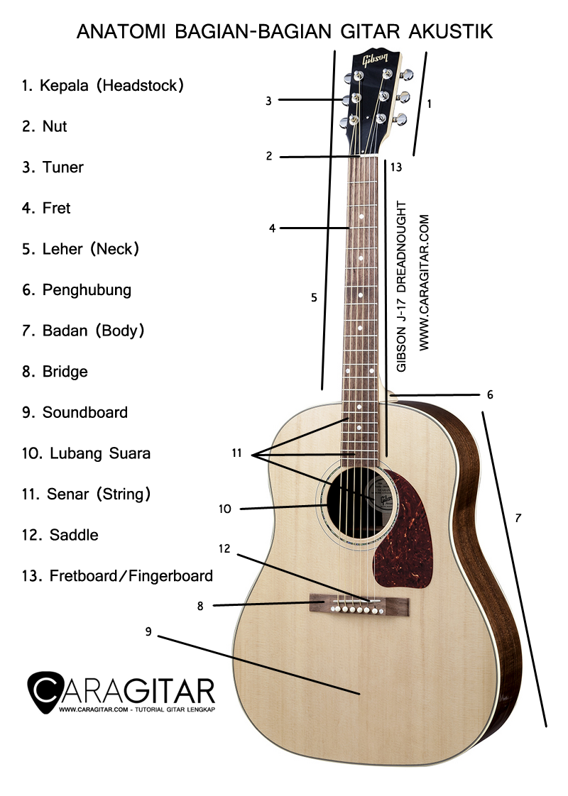 Anatomi Bagian Bagian Gitar Akustik TUTORIAL GITAR LENGKAP