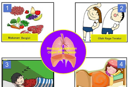 35+ Ide Poster Ajakan Untuk Menjaga Kesehatan Organ Pernapasan