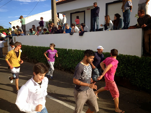 Street bullfight in Terceira, Azores, Portugal, on Semi-Charmed Kind of Life