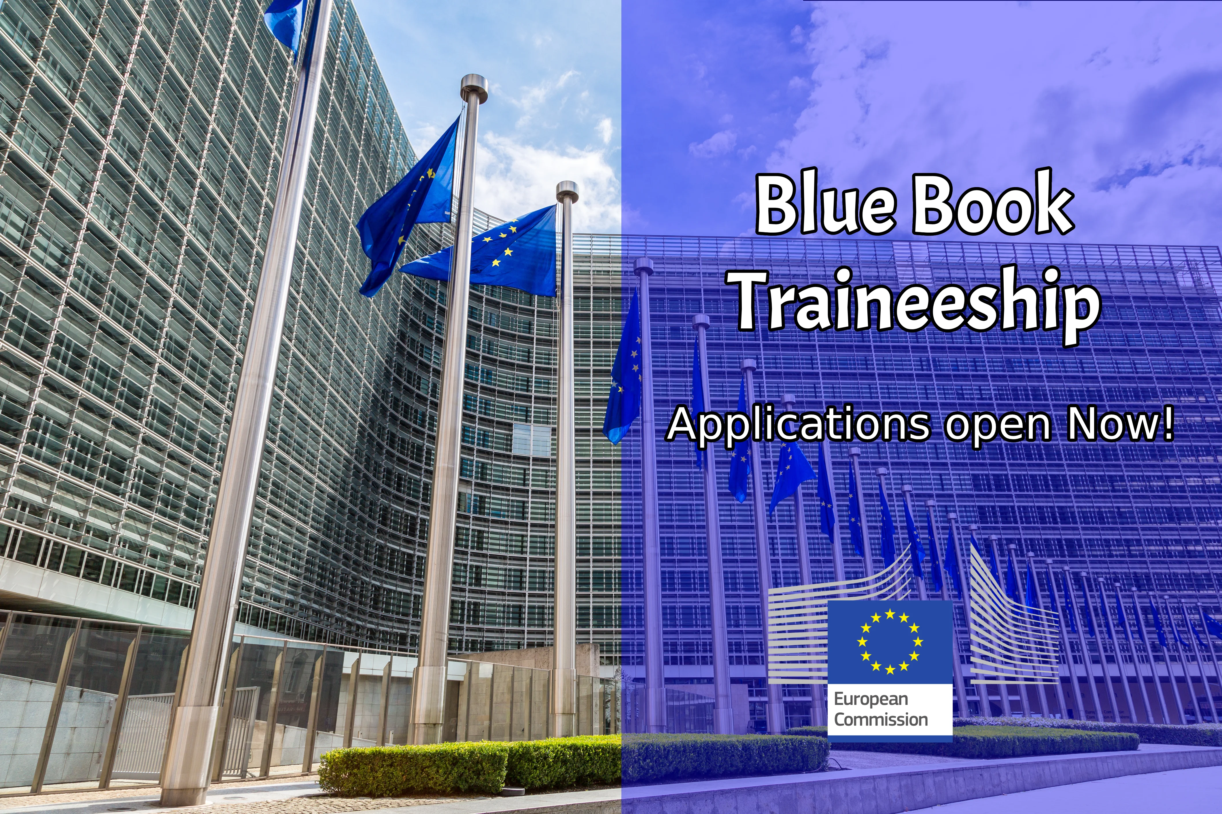 Blue Book Traineeship Programme 2024/ 2025 (Funded)