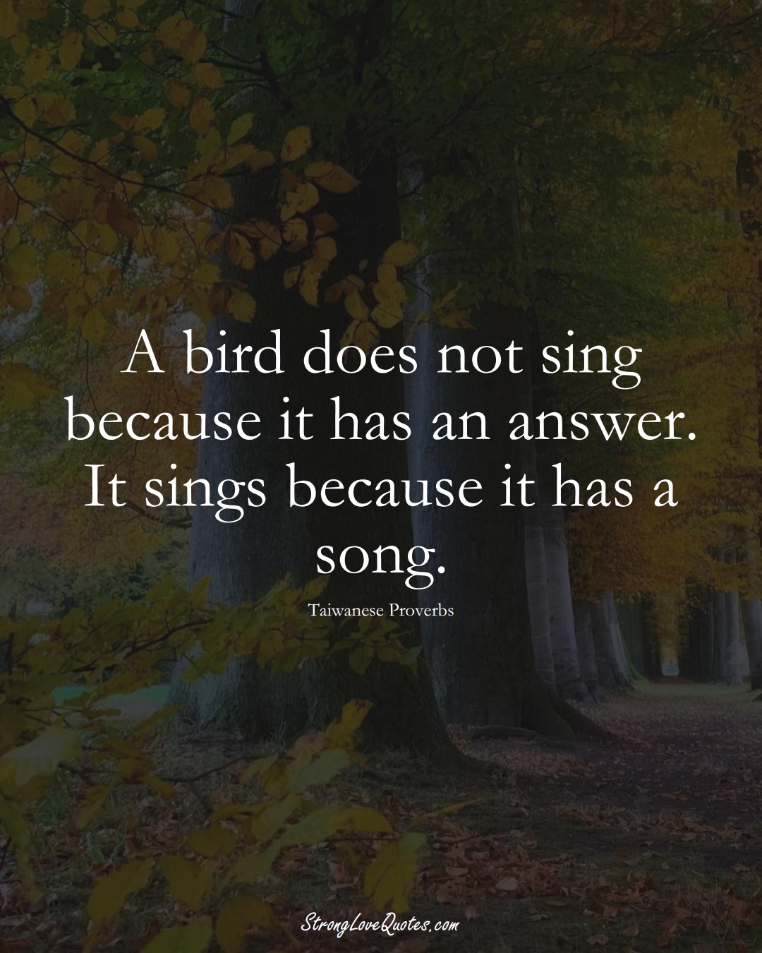A bird does not sing because it has an answer. It sings because it has a song. (Taiwanese Sayings);  #AsianSayings