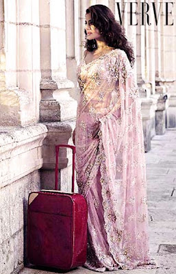 Ameesha Patel in Beautiful Saree