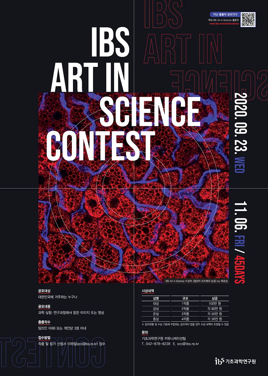 IBS 아트인사이언스(Art in Science) 작품 공모