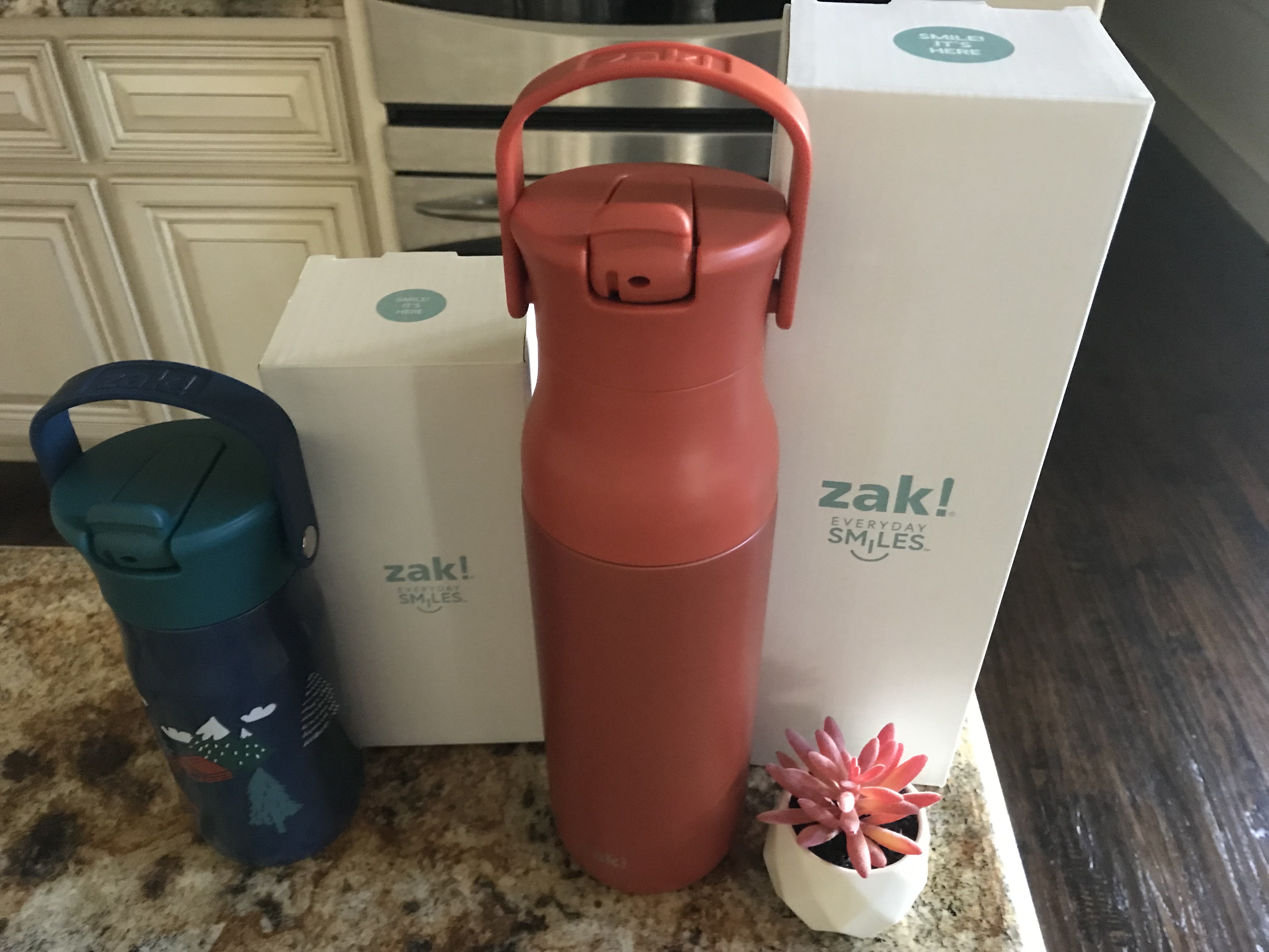 Dallas Mom Blog and Fort Worth Mom Blogger: Trendy Mom Reviews: My  Eco-Friendly Heart Loves zak!'s New Harmony Water Bottles!