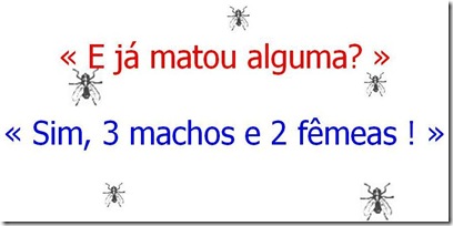 mosca 5