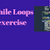 While loops project