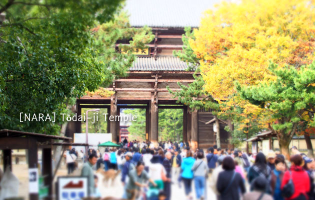 奈良ひとり旅：東大寺