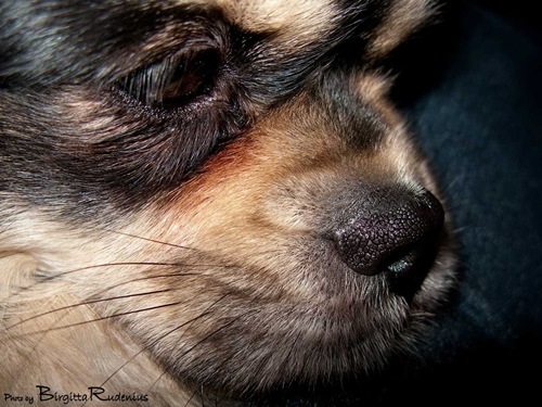 56_20110201_G9_nos