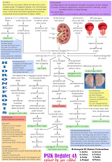 pathway hidronefrosis