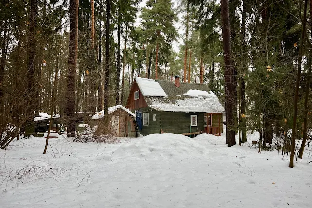 посёлок Переделкино, улица Серафимовича, территория Дома-музея Корнея Чуковского