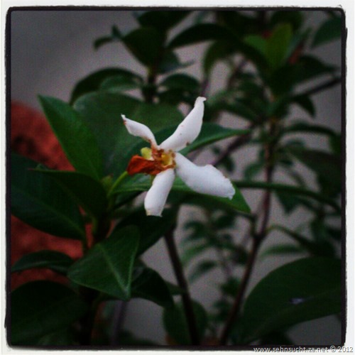 IMG_20120427_180001