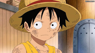 ワンピースアニメ インペルダウン編 452話 ルフィ Monkey D. Luffy | ONE PIECE Episode 452