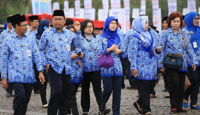 6 Hari Lagi Presiden Jokowi Akan Mengumumkan Kenaikan Gaji PNS dan PPPK