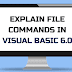 Explain file commands in visual basic 6.0