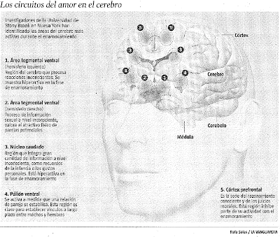 amor romantico. De los peligros del amor romántico y las políticas de género